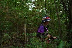 BIB: 
                            <button type="button" onclick="openModal(22241971)" class="btn btn-primary btn-sm float-right btn-popup" data-toggle="modal" data-target=".modal-high-quality">
                        <i class="fas fa-shopping-cart"></i> Add to Cart
                    </button>
                                            <button type="button" onclick="isThisMe(22241971, true)" class="btn btn-success btn-sm float-right btn-popup btn-isme hidden" data-toggle="tooltip" data-placement="bottom" title="นี่คือรูปของคุณใช่ไหม คลิกที่นี่เพื่อเอาเข้าอัลบั้ม">
                        <i class="fas fa-plus"></i> Add to album
                    </button>
                    <button type="button" onclick="isThisMe(22241971, false)" class="btn btn-warning btn-sm float-right btn-popup btn-isnotme hidden">
                        <i class="fas fa-ban"></i> Remove from album
                    </button>